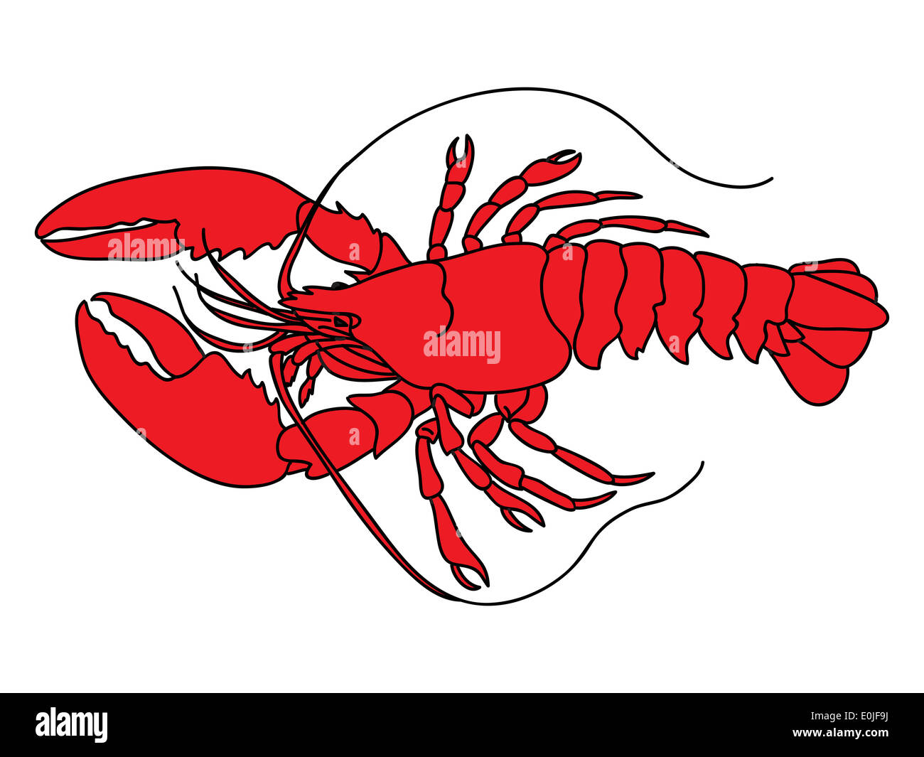 Lobster illustration Stock Photo