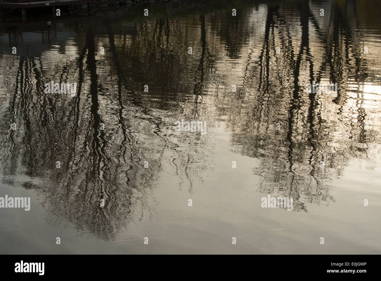 Trees reflecting on water hi-res stock photography and images - Alamy