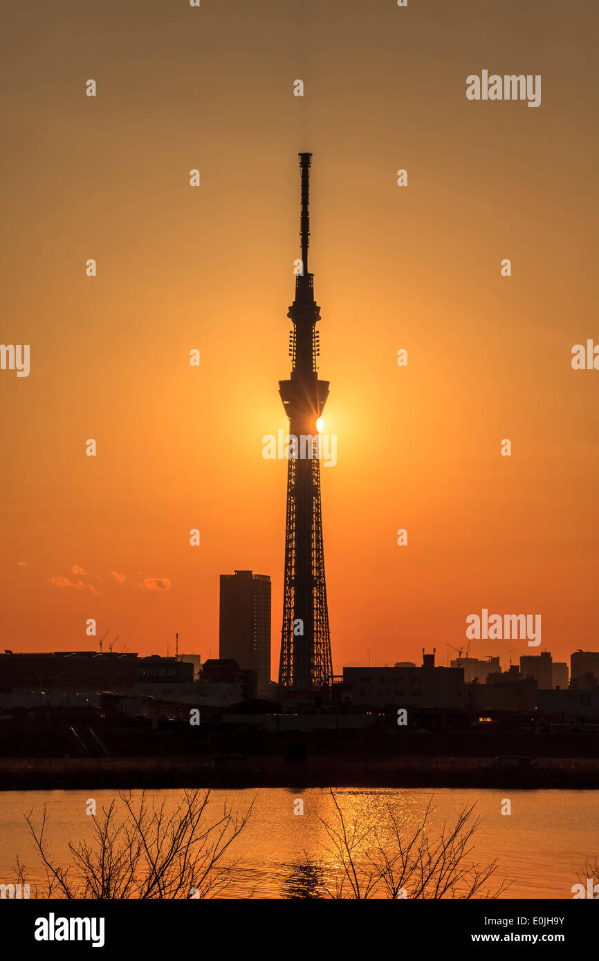 Silhouette of Tokyo Skytree tower in Japan Stock Photo