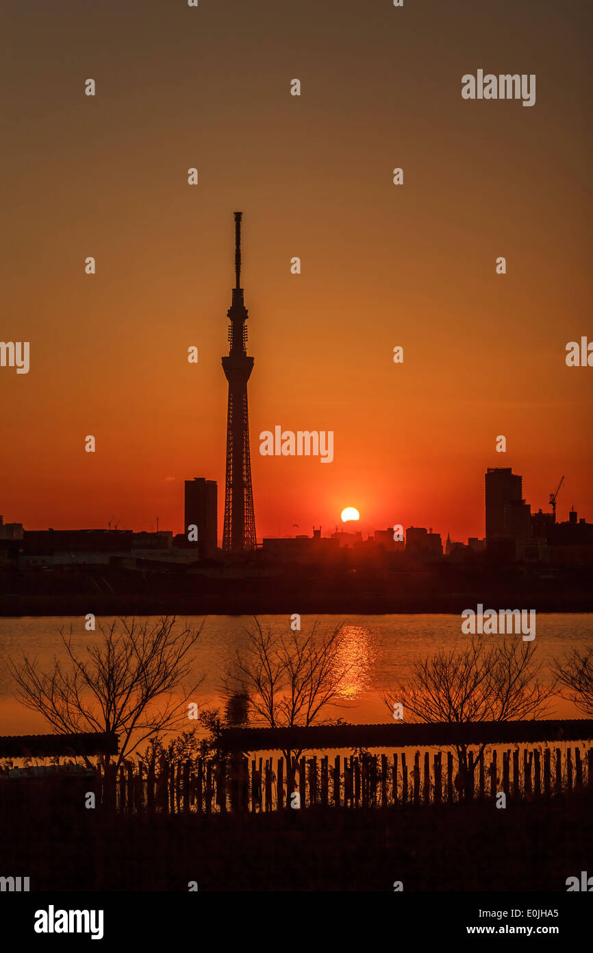 Silhouette of Tokyo Skytree tower in Japan Stock Photo