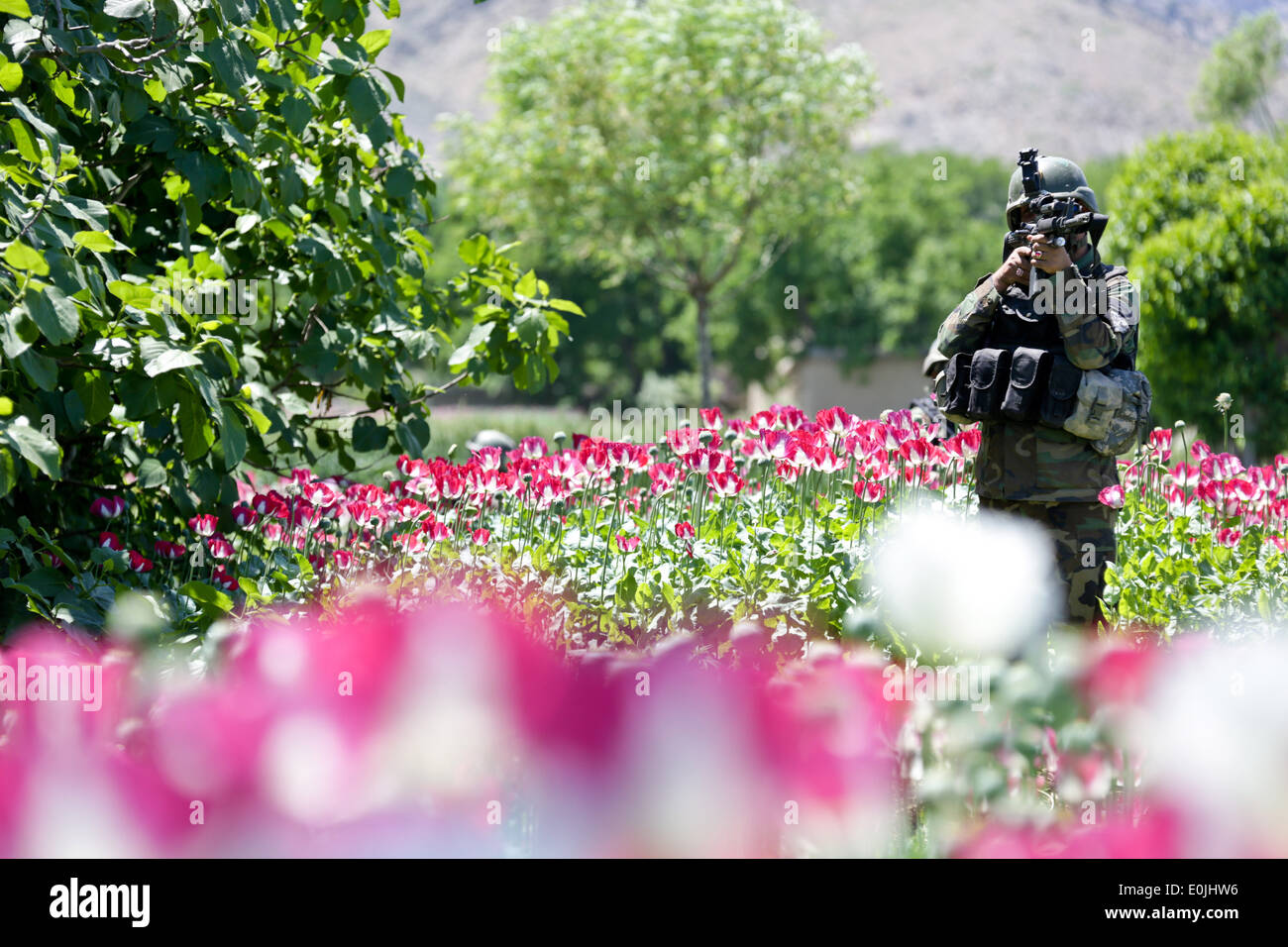 1st special operations hi-res stock photography and images - Alamy