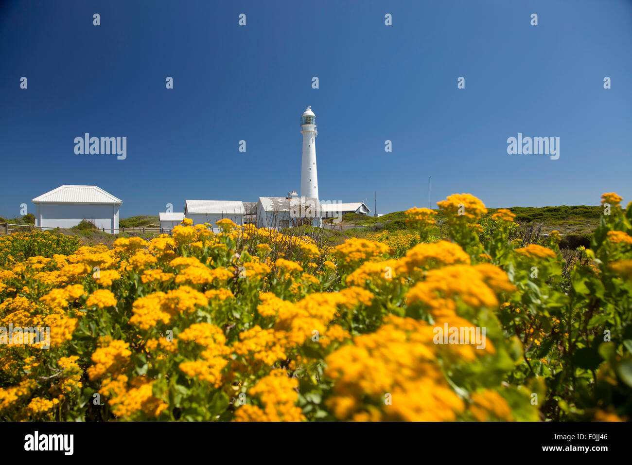 Slangkop Lighthouse near Kommetjie, Cape Town, Western Cape, South Africa Stock Photo