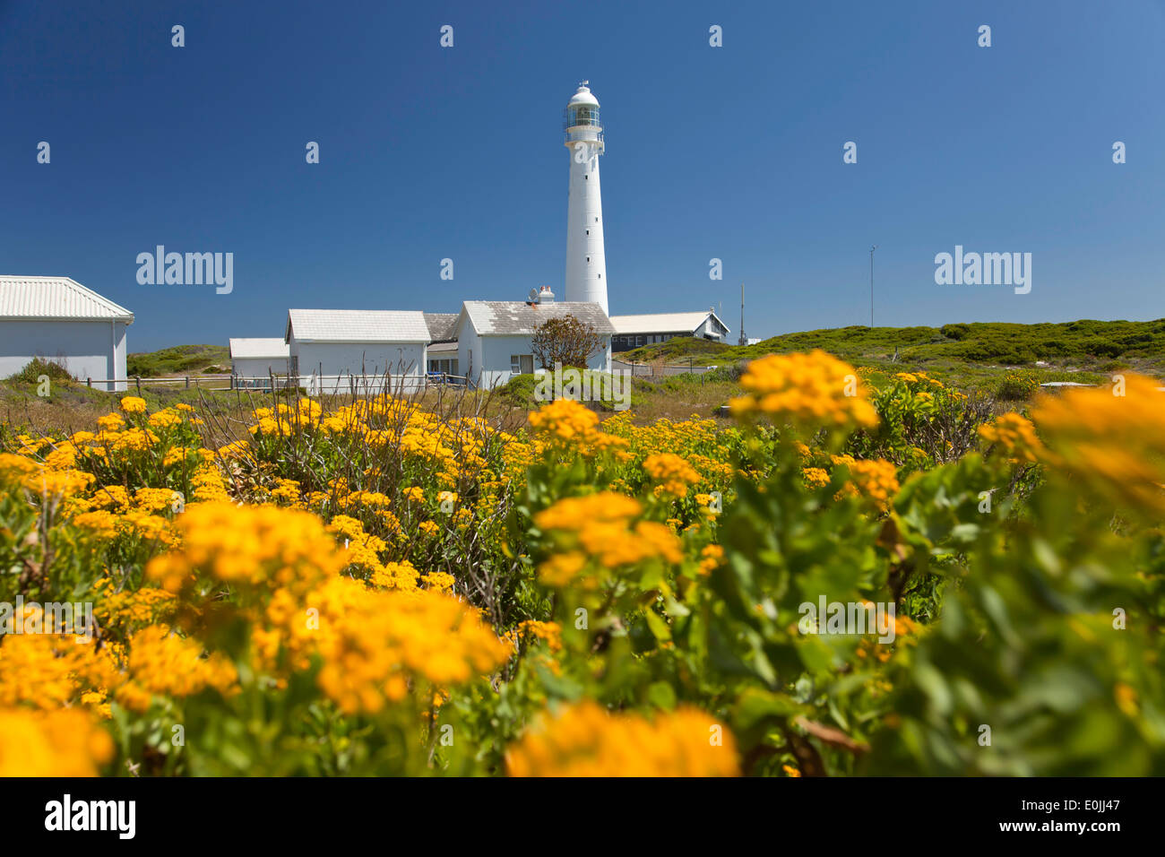 Slangkop Lighthouse near Kommetjie, Cape Town, Western Cape, South Africa Stock Photo