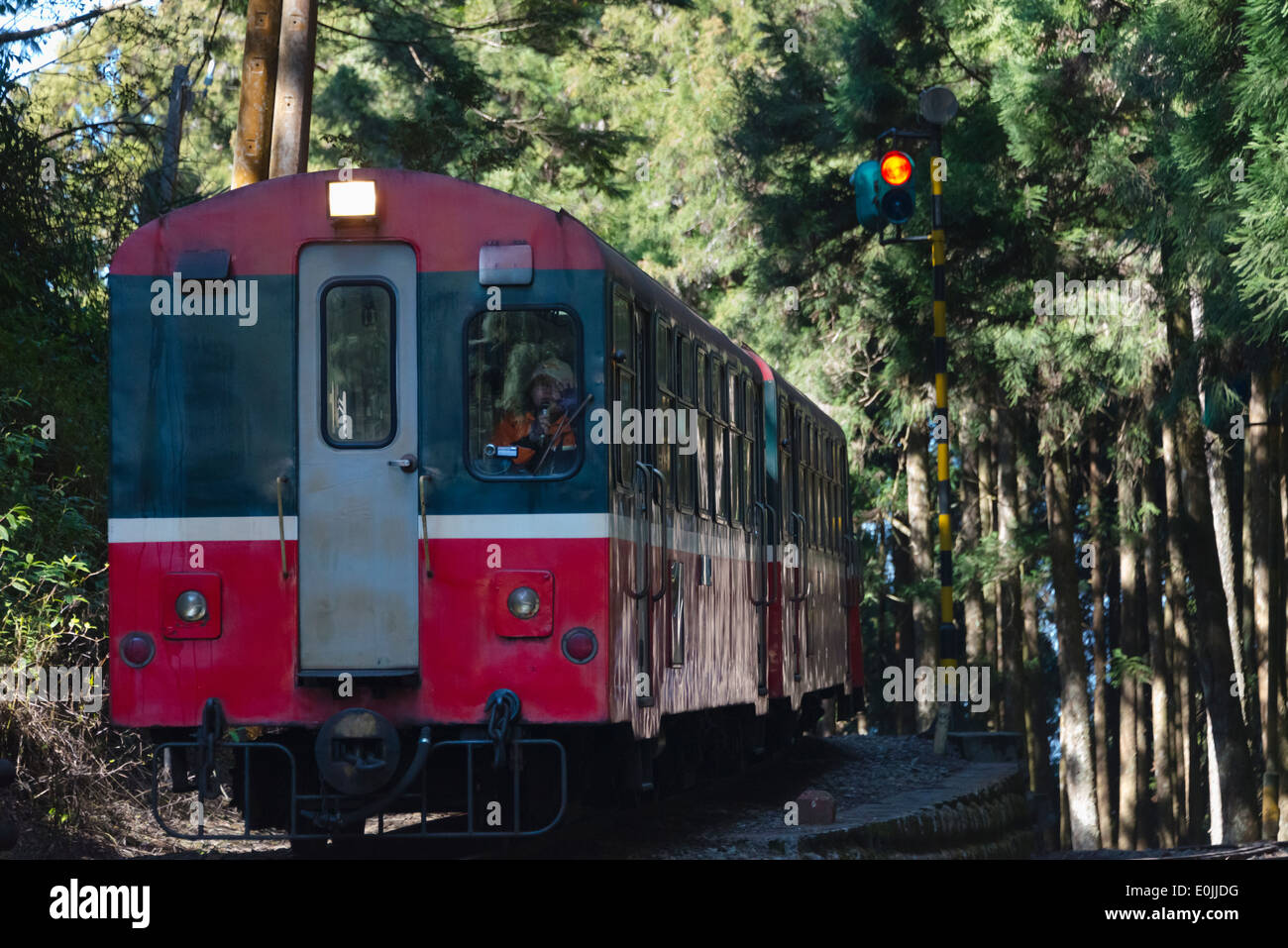 Train going through the forest in the mountain, Alishan National Scenic Area, Taiwan Stock Photo