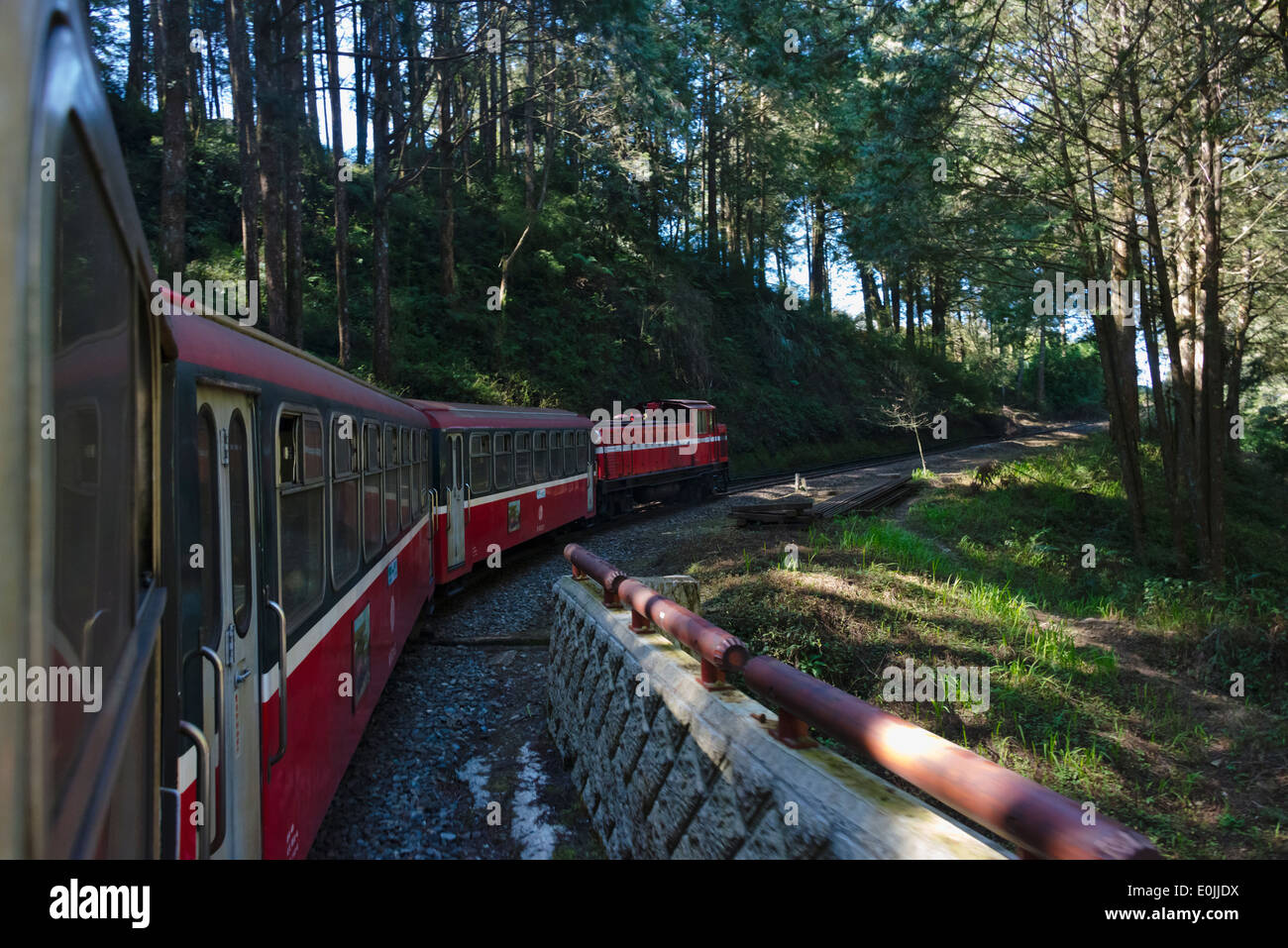 Train going through the forest in the mountain, Alishan National Scenic Area, Taiwan Stock Photo