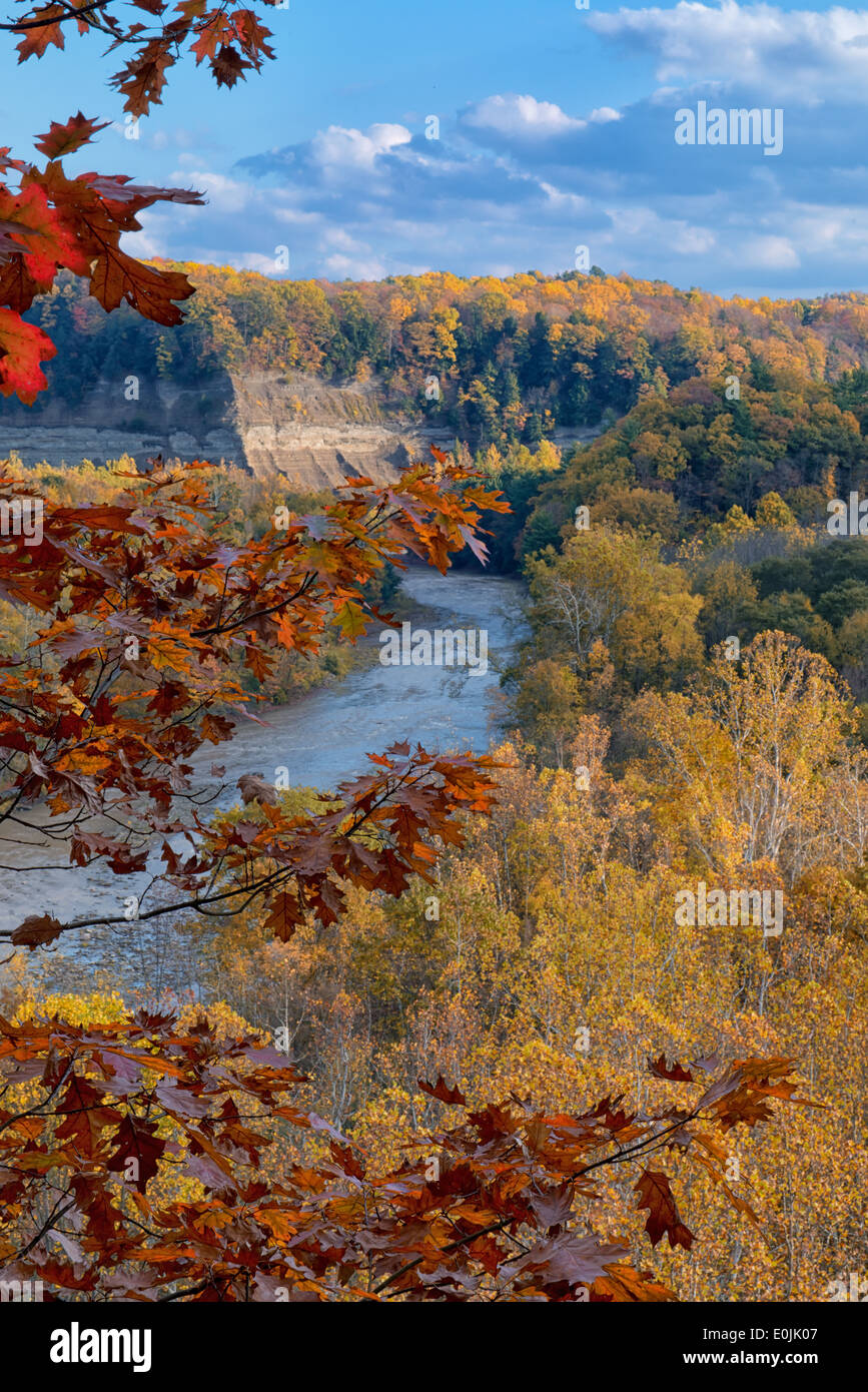 Zoar Valley framed by crimson oak leaves. Stock Photo
