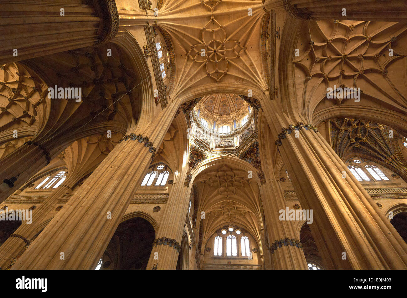 Cathedral, Interior New Cathedral, Salamanca, Via de la Plata, Silver Route, Castilla-Leon, Spain Stock Photo