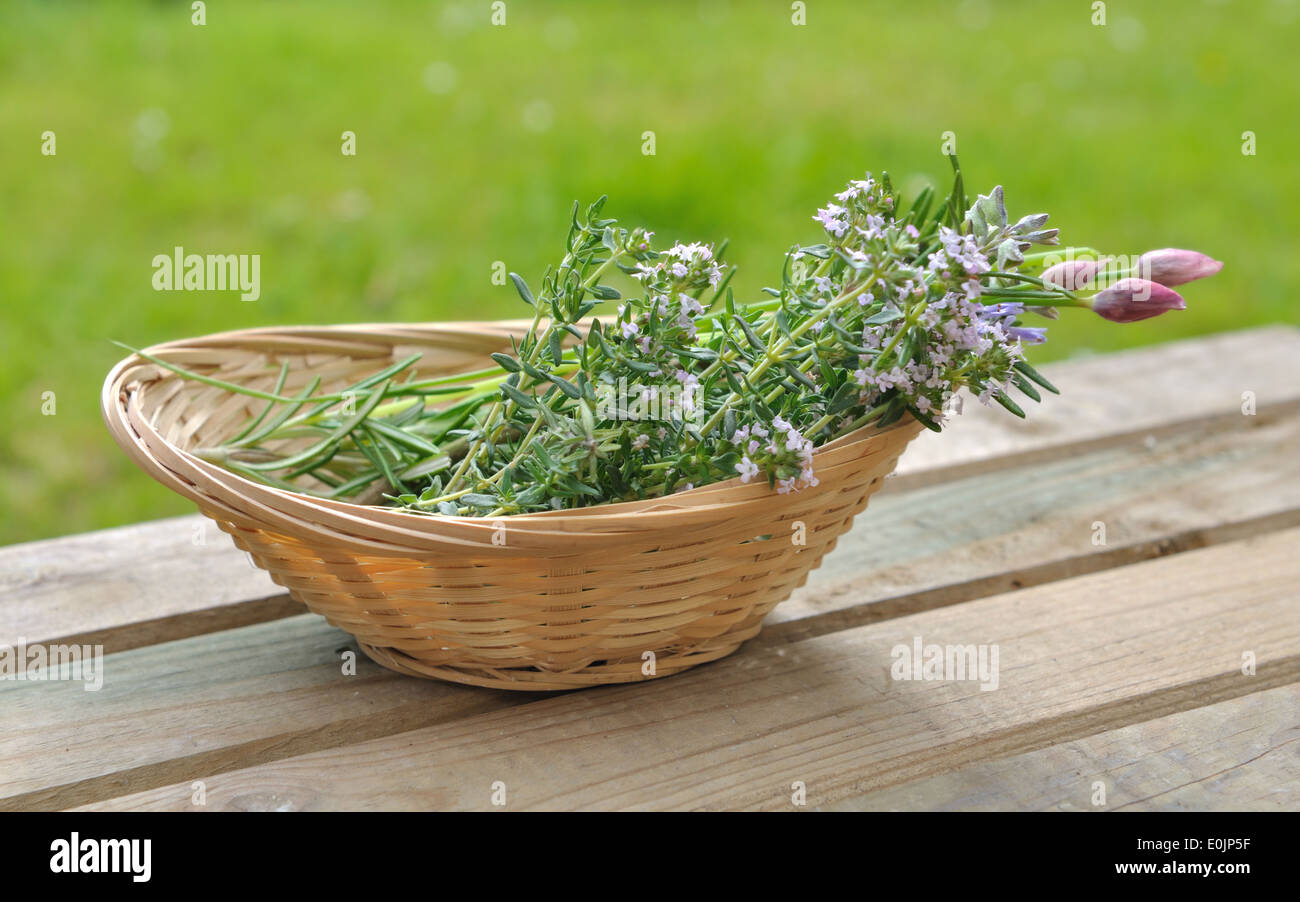 aromatic plants flowering in a little basket Stock Photo