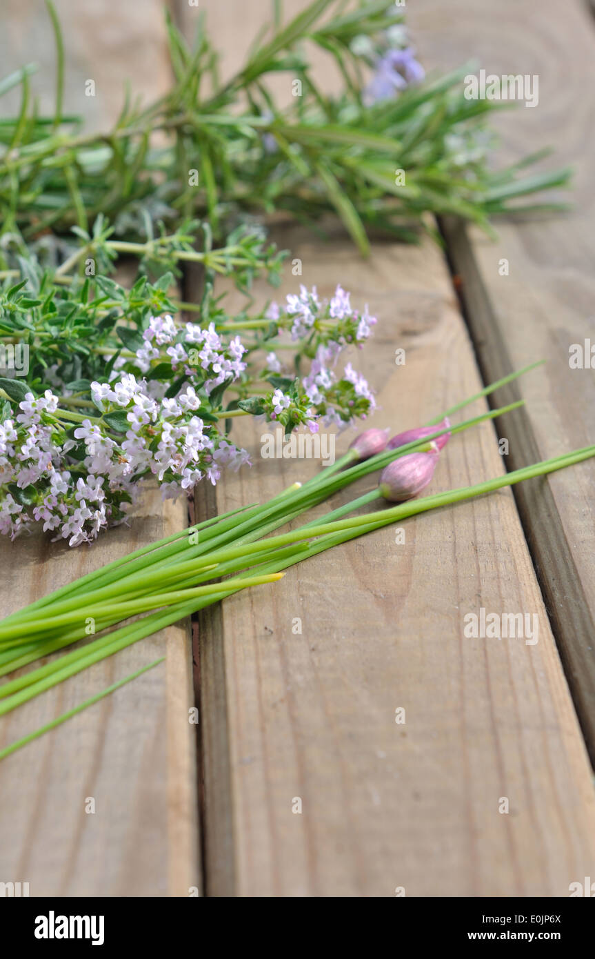 chives in bud with thyme and rosemary flowers on wooden background Stock Photo