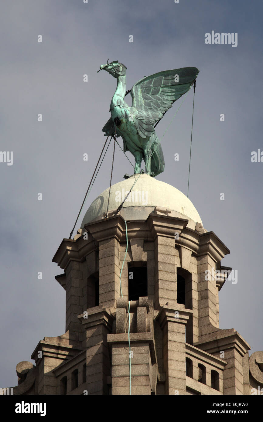 A Liver Bird on top of the Liver Building in Liverpool. Stock Photo