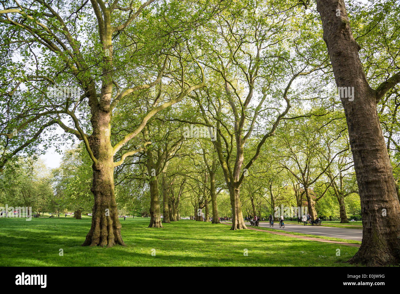 Hyde Park, Broad Walk, London, UK Stock Photo