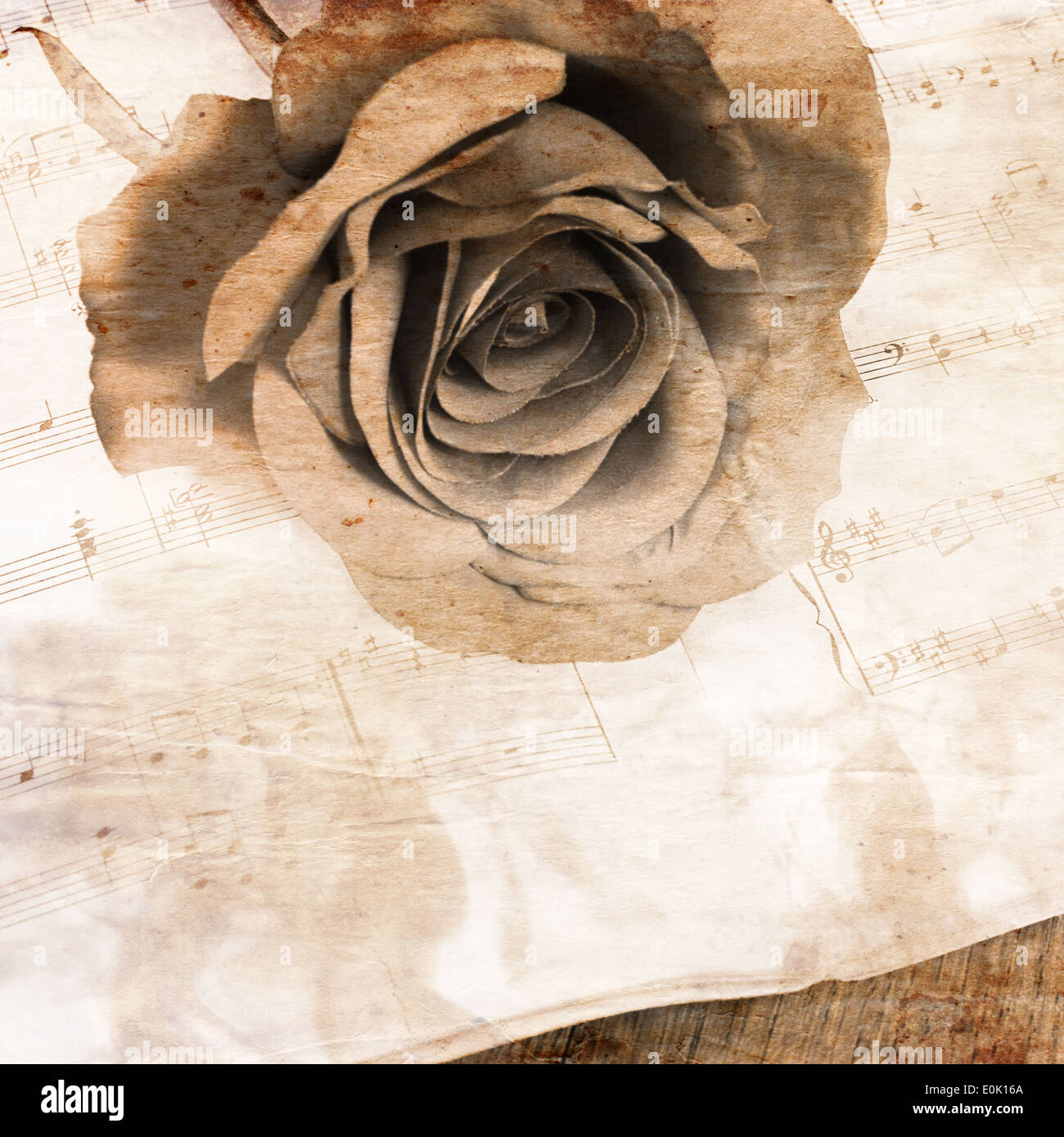Rose High Note The rose on notebooks with musical notes Stock Photo - Alamy