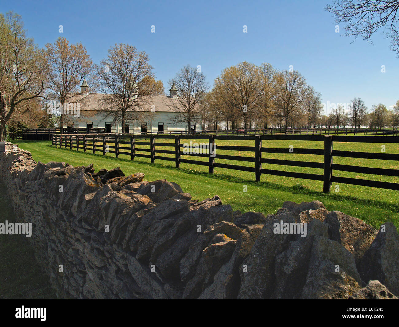 Stone fence and black fencing on a Thoroughbred farm outside of Stock