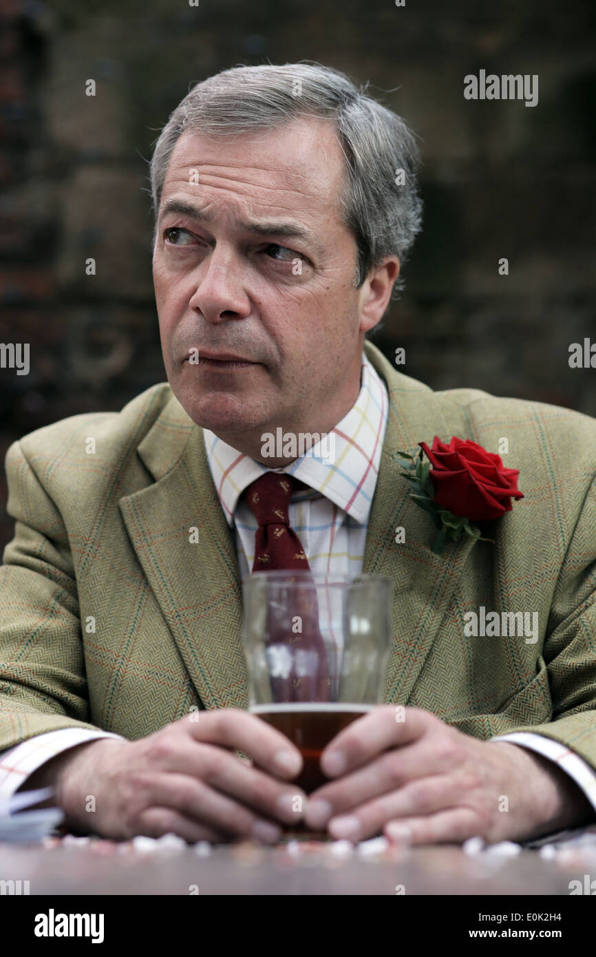 Leader of the UKIP Party, Nigel Farage MEP in the Black Bull pub, Yarm, Cleveland, UK. Stock Photo