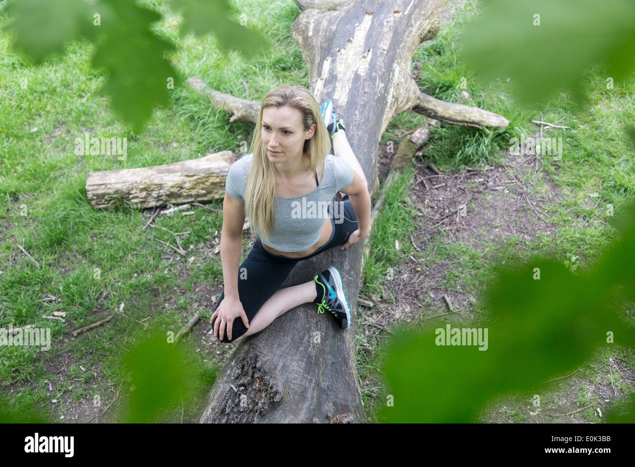 Blonde lady wearing black leggings and a grey crop top practicing yoga on a log on hampstead heath. Stock Photo