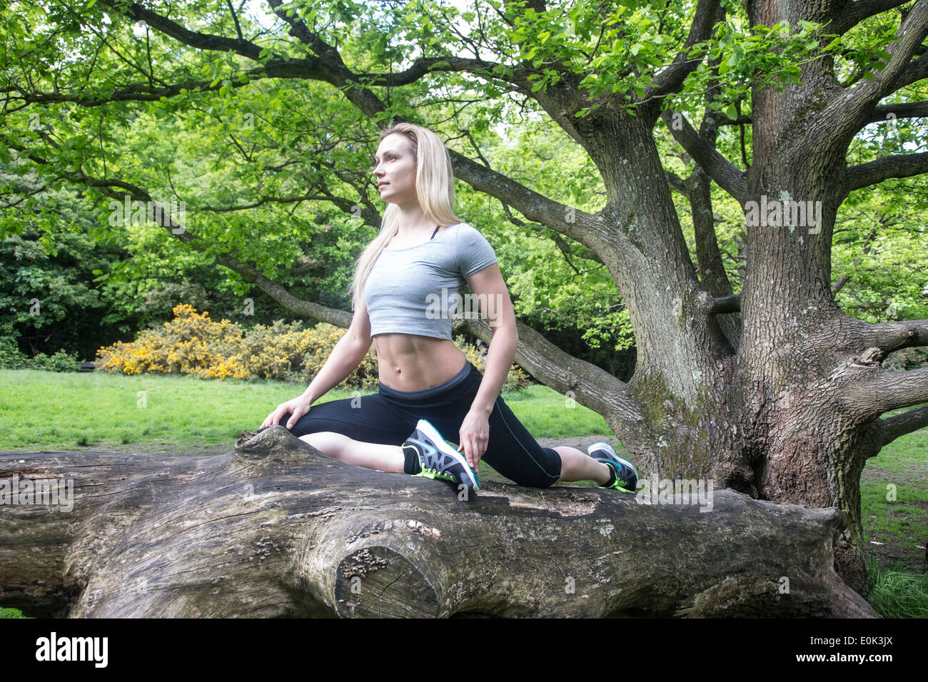 Blonde lady wearing black leggings and a grey crop practicing yoga in the centre of a tree on hampstead heath. Stock Photo