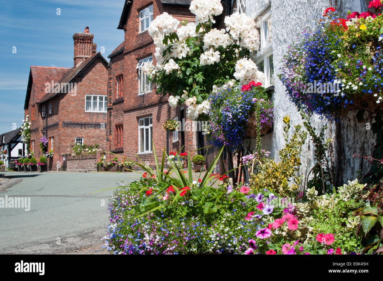 Summer in Great Budworth, Great Budworth, Cheshire, England, UK Stock Photo