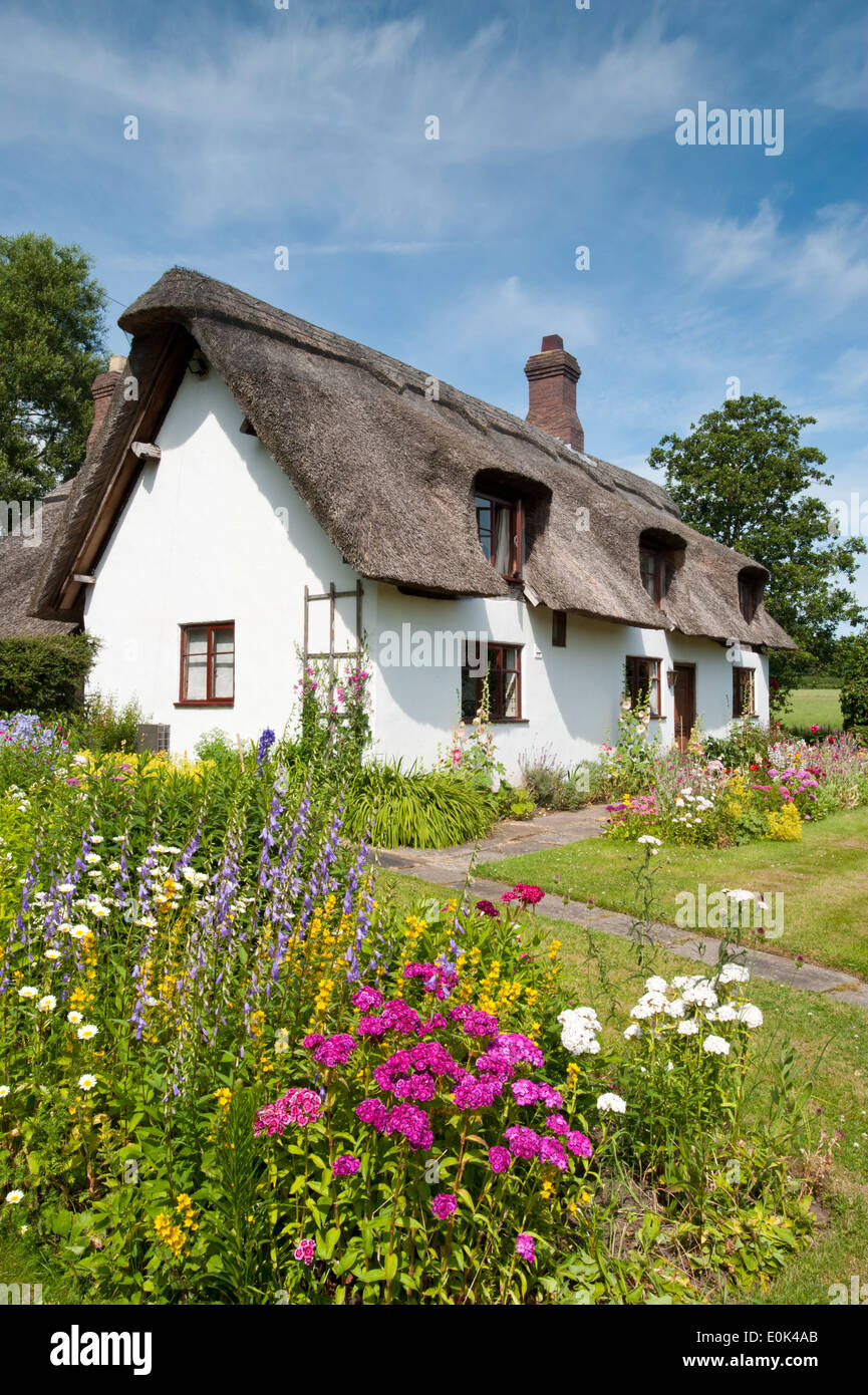 Kidbrook Cottage in Summer, Comerbach, Cheshire, England, UK Stock Photo