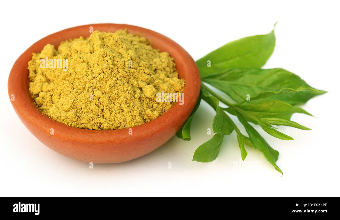 Sandal Paste High Resolution Stock Photography And Images Alamy