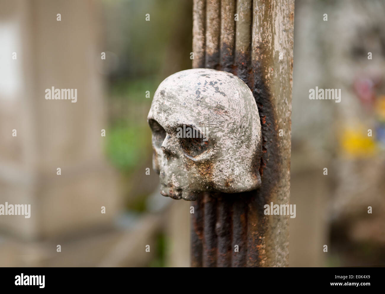 Skull symbol at old cemetery, Polish Cmentarz Zasluzonych na Peksowym
