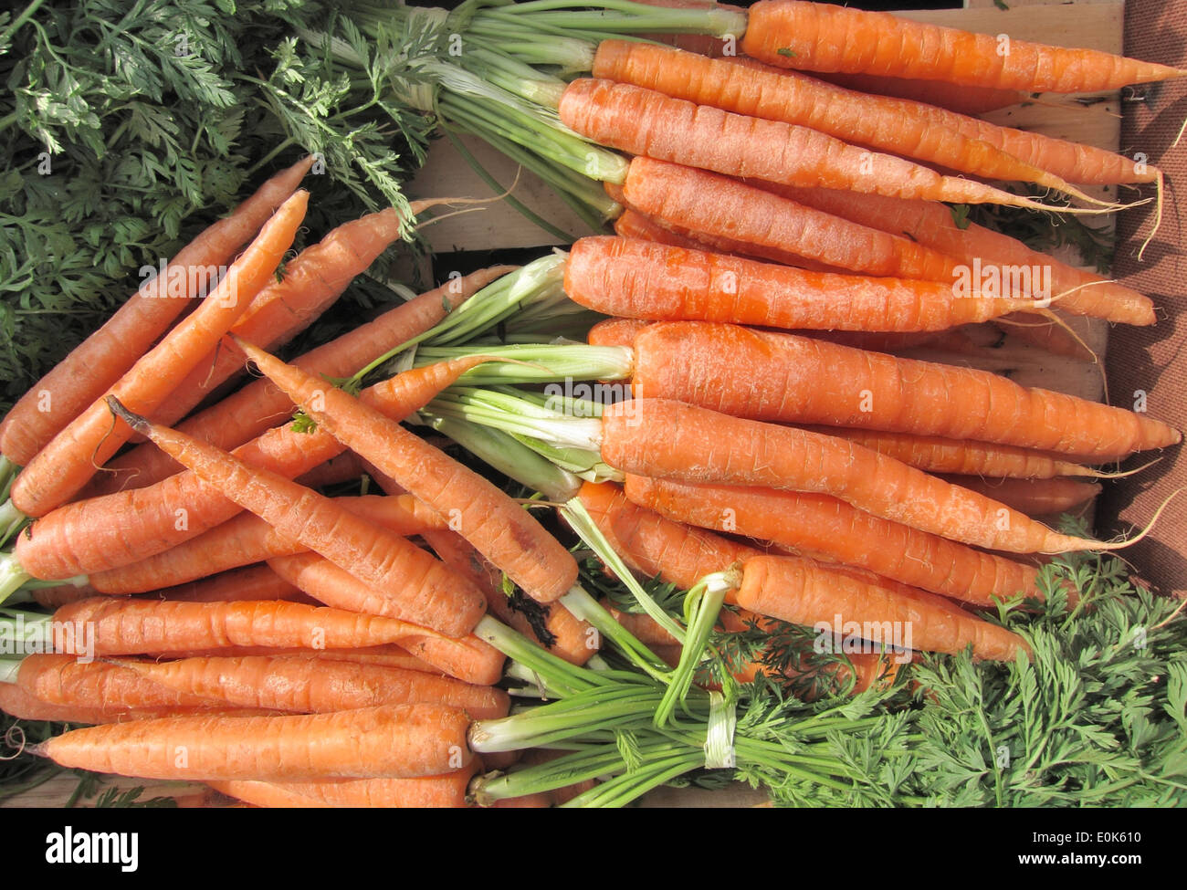 Carotin hires stock photography and images Alamy