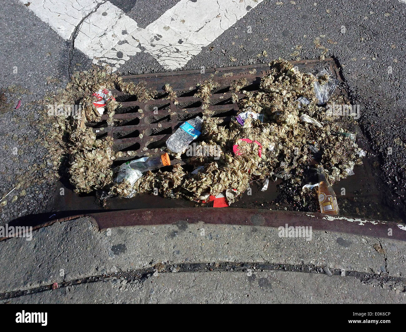 A clogged storm drain in New York neighborhood of Chelsea on Sunday, May 11, 2014. (© Richard B. Levine) Stock Photo