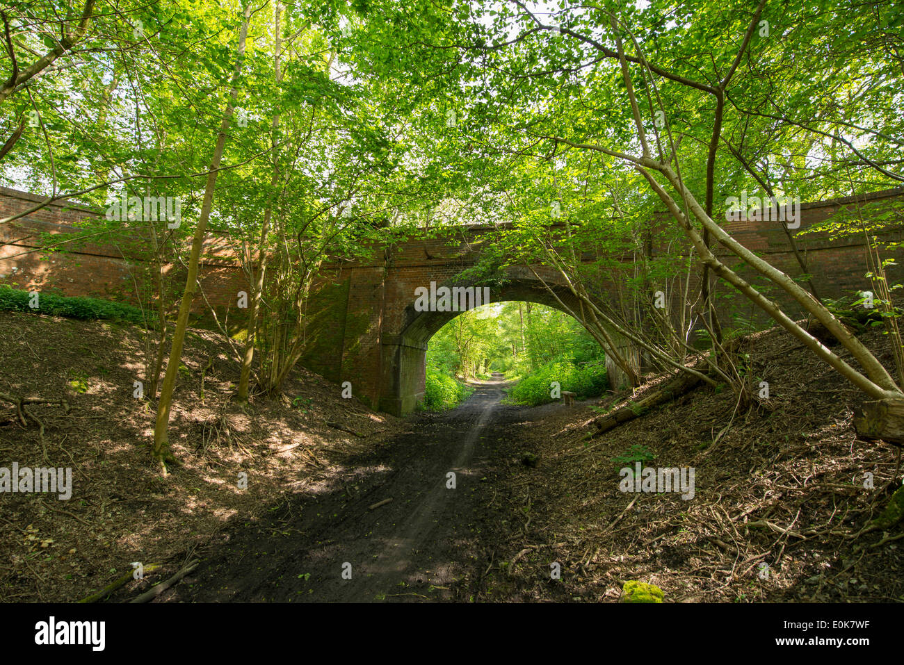 Bramley, UK. 15th May, 2014. Dappled afternoon sunlight over an old