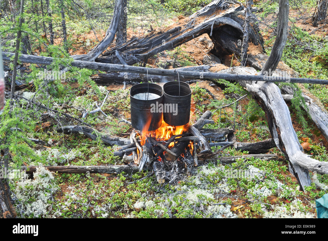 Cooking on camp fire. Russia, Eastern Yakutia, a ridge of Suntar-khayata, river Suntar. Stock Photo
