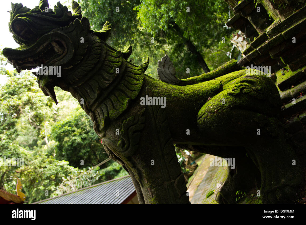 The statue of Lanna style singha Stock Photo