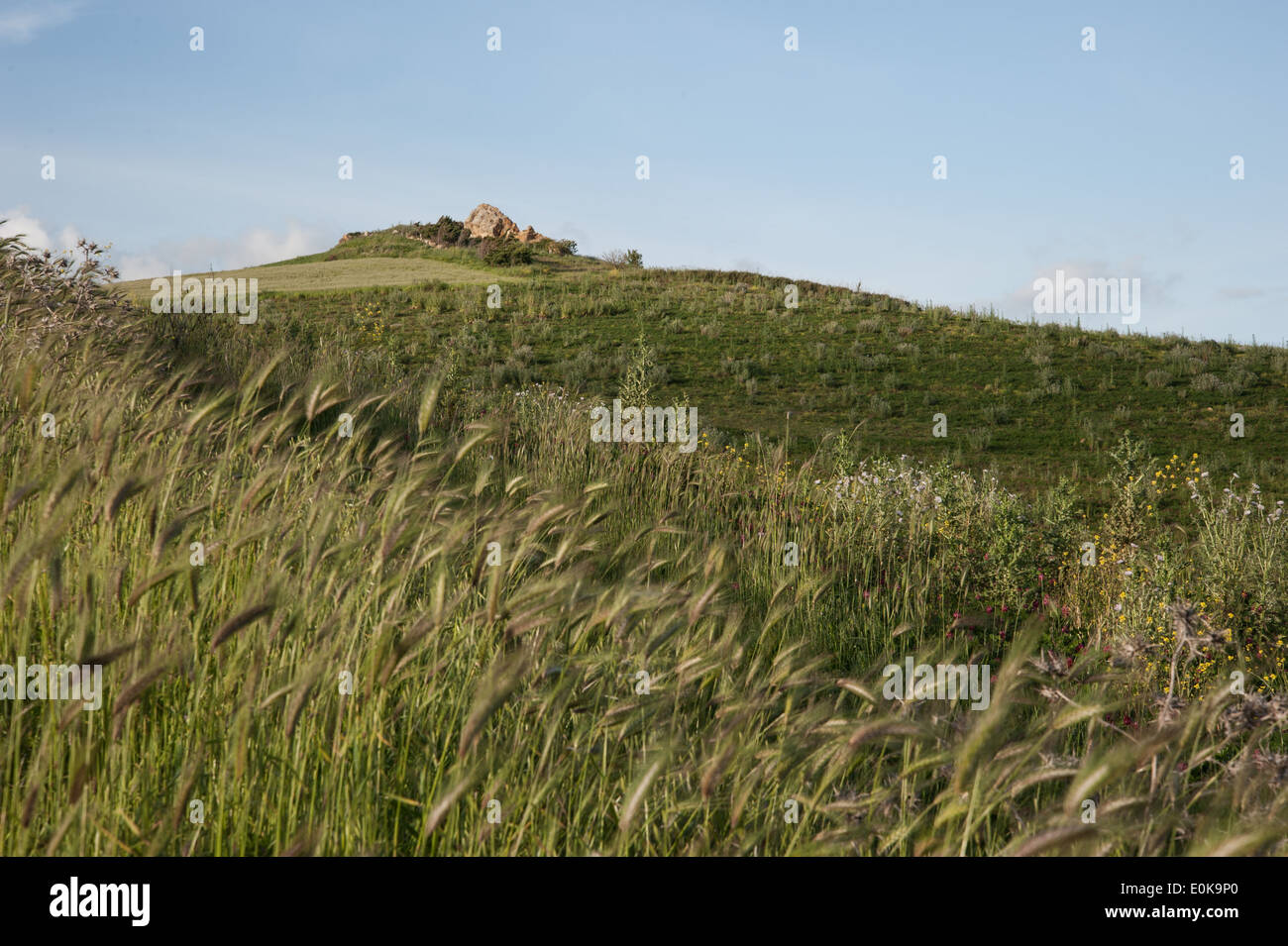 Wine win rural hi-res stock photography and images - Alamy