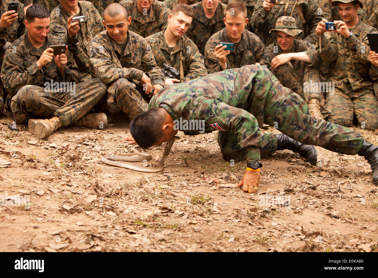Royal Thai Marine Corps Sgt. Pairoj Prasarnsai kisses the head of a cobra during a jungle survival class part of exercise Cobra Stock Photo
