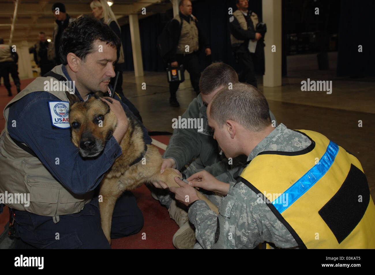 U.S. Army Staff Sgt. Travis Lausier, right, and Spc. Jason Hayes, both from the Japan District Veterinary Command, Misawa Branc Stock Photo