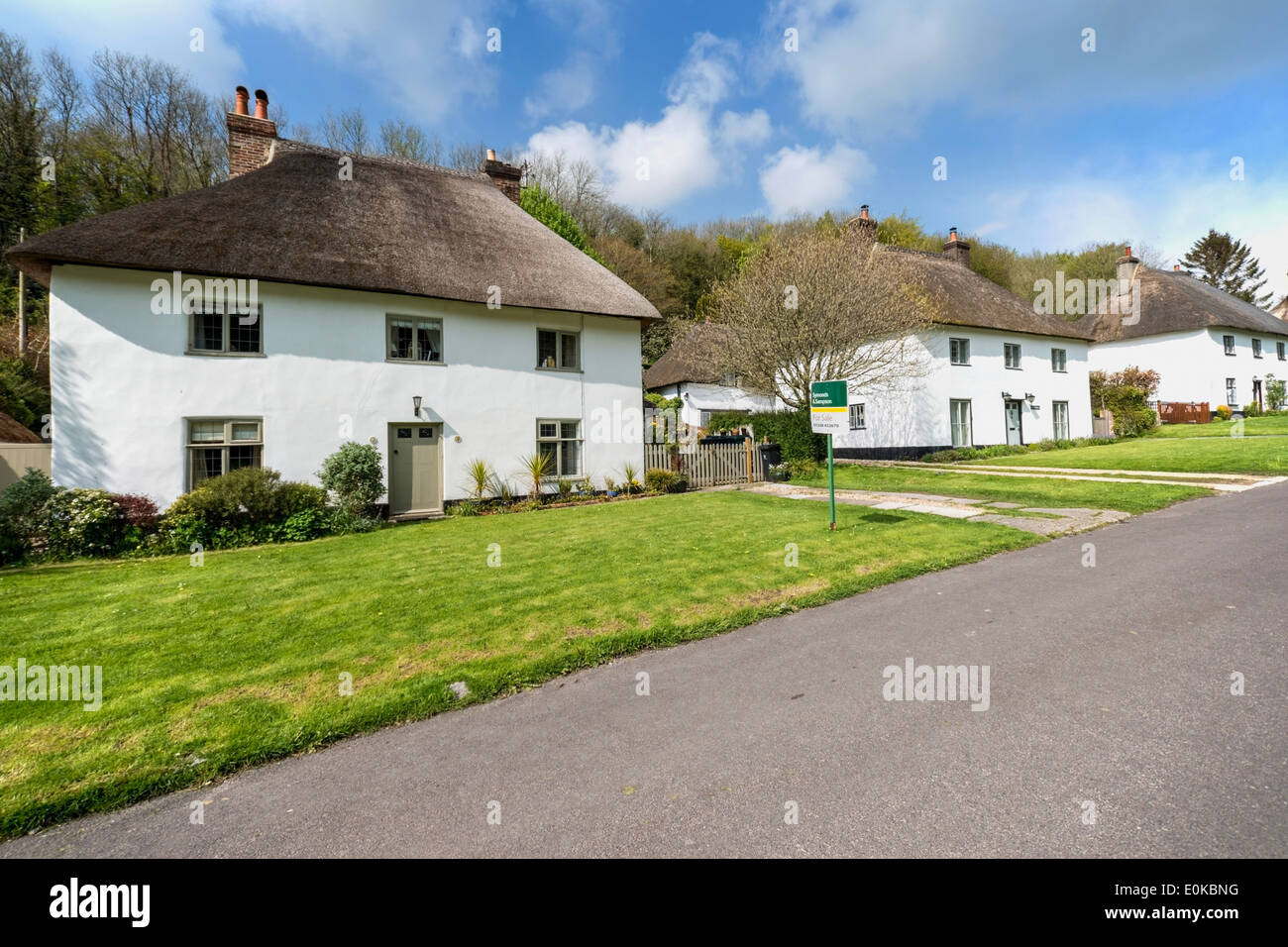 Thatched cottages in the village of Milton Abbas, Dorset, England, UK
