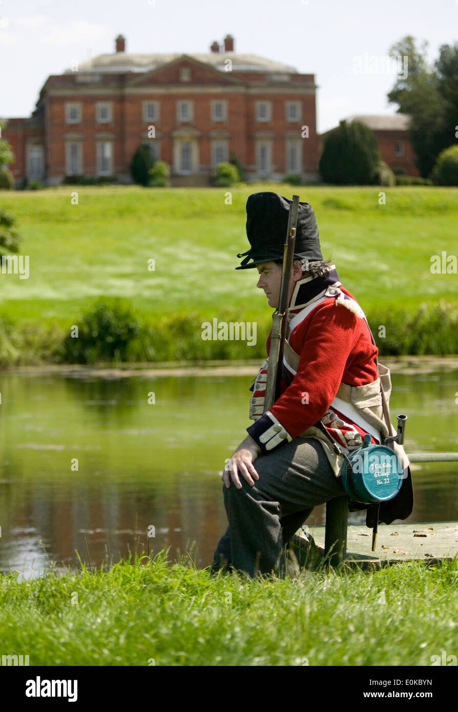 Napoleonic era British infantry man from Coldstream Guards. Re anactor. Stock Photo