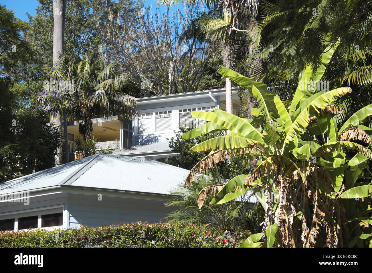 luxury home and garden of a sydney property on the northern beaches in