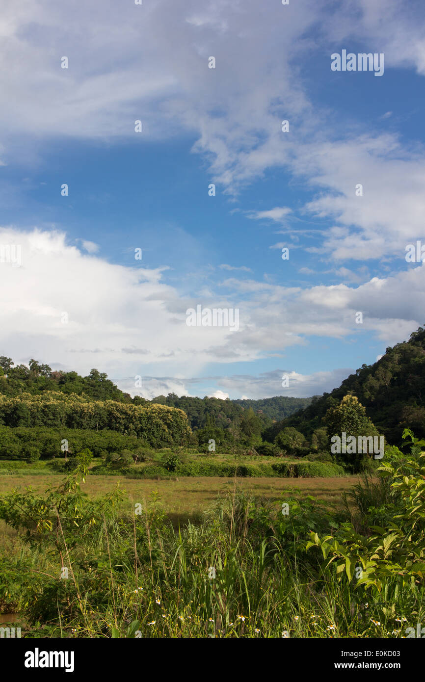 Green meadow under blue sky with clouds Stock Photo - Alamy