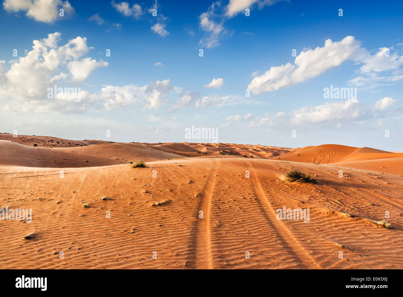 Traces in desert Wahiba in Oman with clouds on blue sky Stock Photo