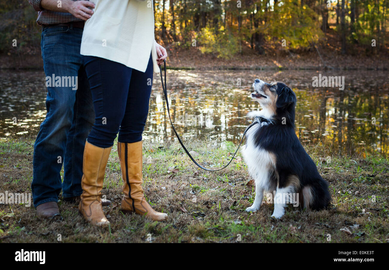 Woman holding man on leash hires stock photography and images Alamy