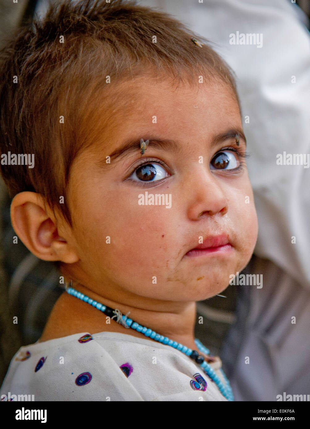 Flies cover the face of local Afghan girl as she watches Afghan National Army commandos from the 3rd Commando Kandak and member Stock Photo