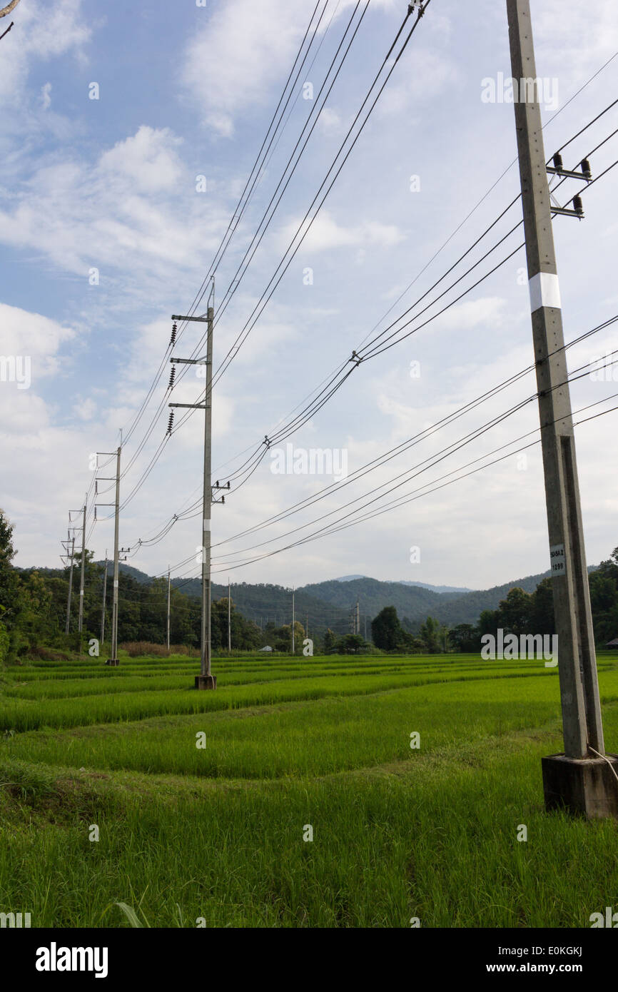 Field horizon heaven hi-res stock photography and images - Alamy