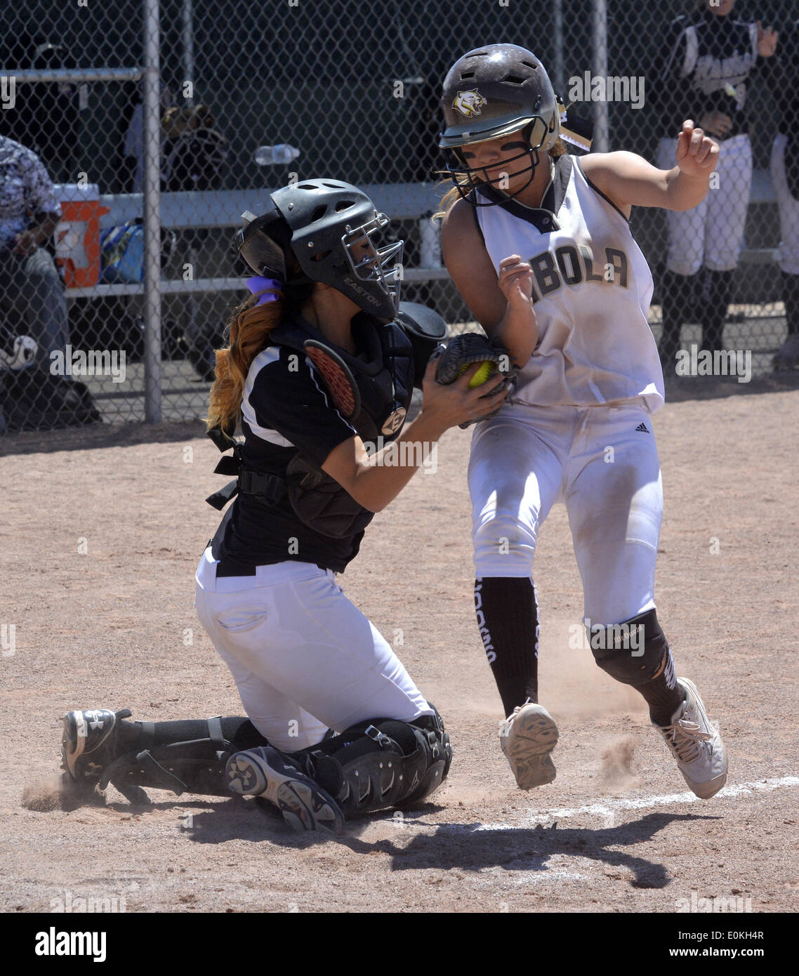 Usa. 14th May, 2014. SPORTS Volcano Vista's catcher, Jade Gray tags