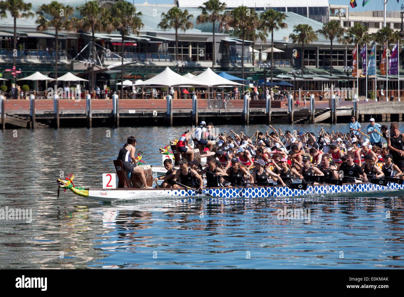 Dragon Boat Racing, Darling Harbor, Sydney, Australia Stock Photo Alamy