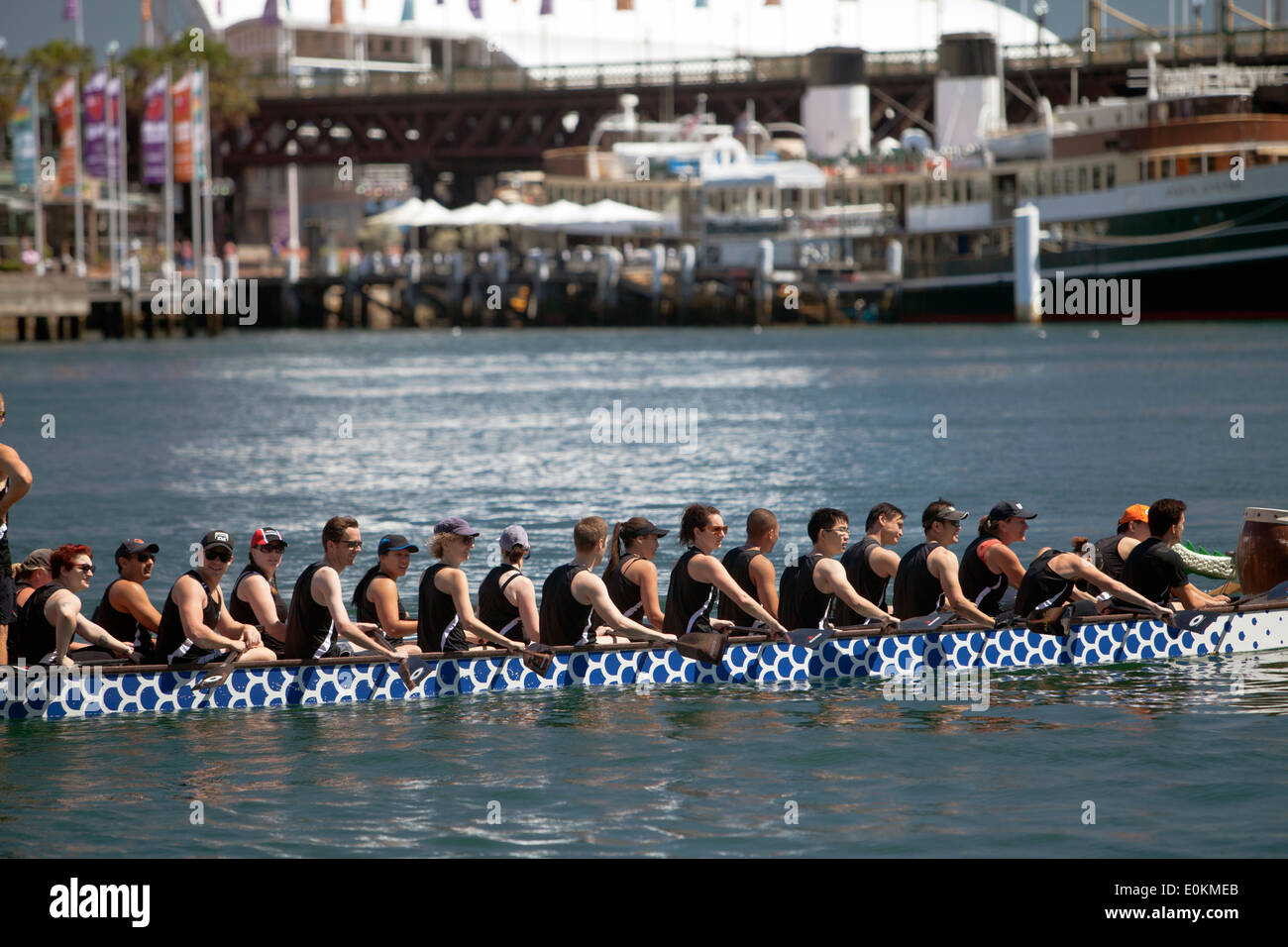 chinese new year sydney dragon boat races