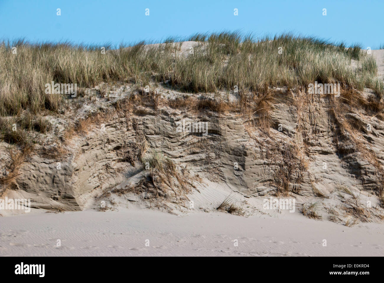 dune erosion on island Spiekreoog Stock Photo