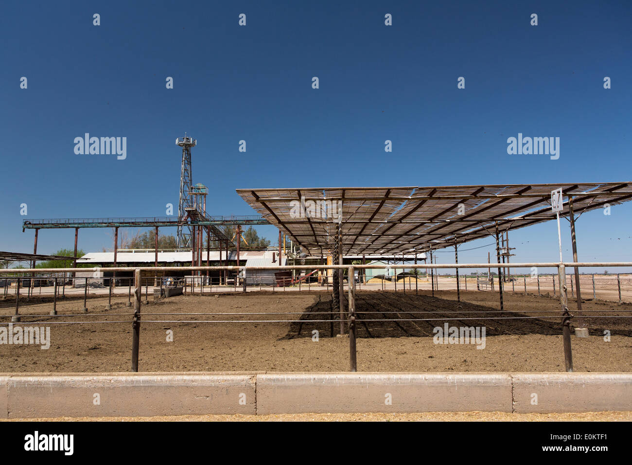 Hacienda Feedyard in Brawley in Imperial County, in April 2014. Close