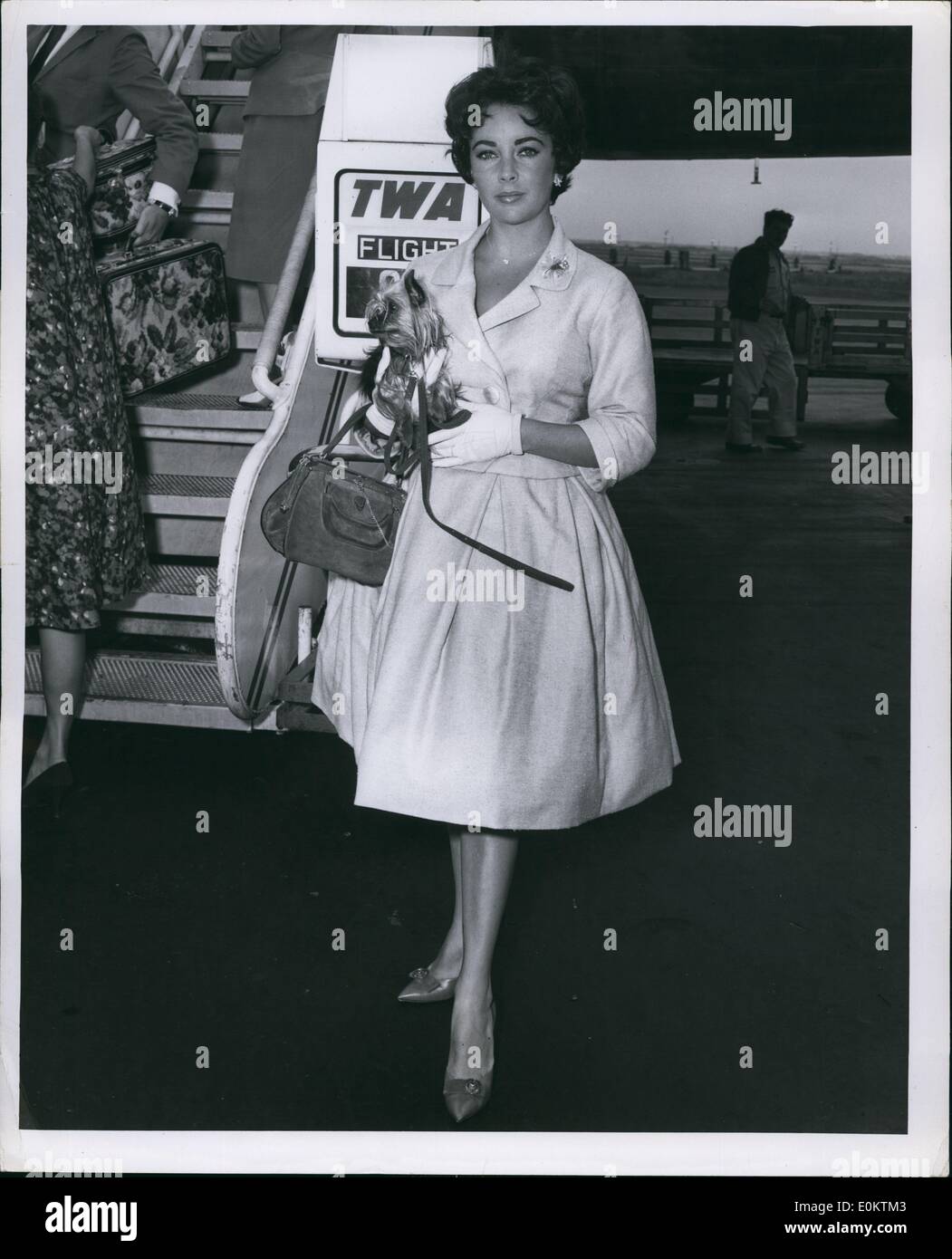 Aug. 08, 0000 - Lovely Elizabeth Taylor shown on her arrival via TWA super ''G'' constellation from Los Angeles with Yorkshire terrier, ''Teresa''. Liz will be in town for a few days attending to some last minute shopping and business before leaving for Paris, for a short vacation. (exact date unknown) Stock Photo