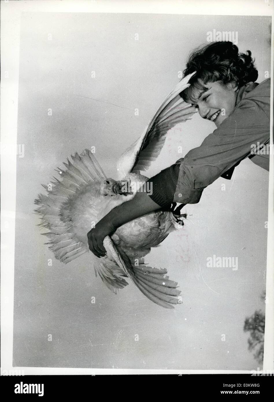 Sep. 09, 1951 - He is a Cracker - is this Turkey.... A Prize Christmas Dinner for Somebody: Twenty one year old Joanna Morton - Stock Photo
