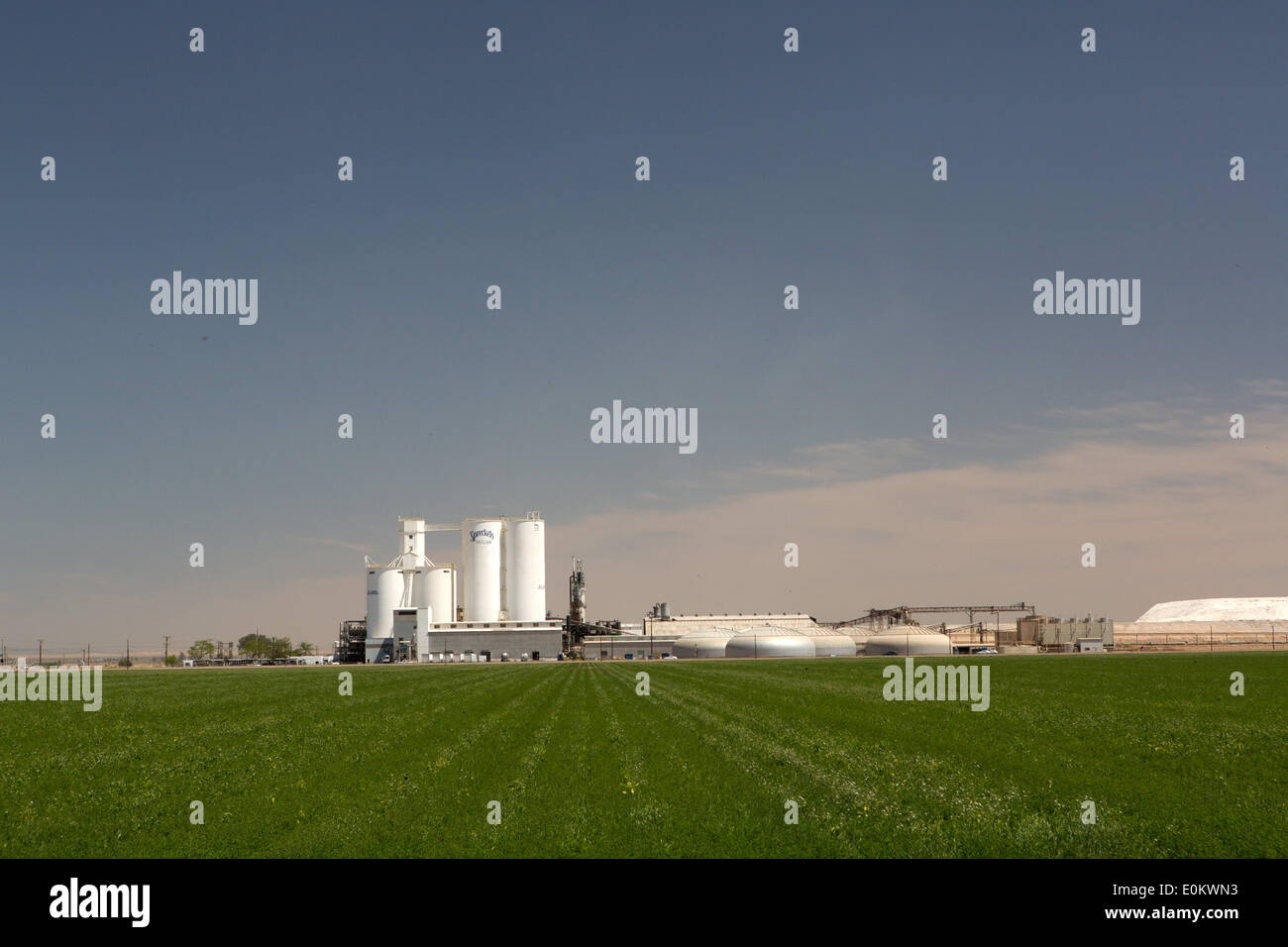 Spreckels hires stock photography and images Alamy