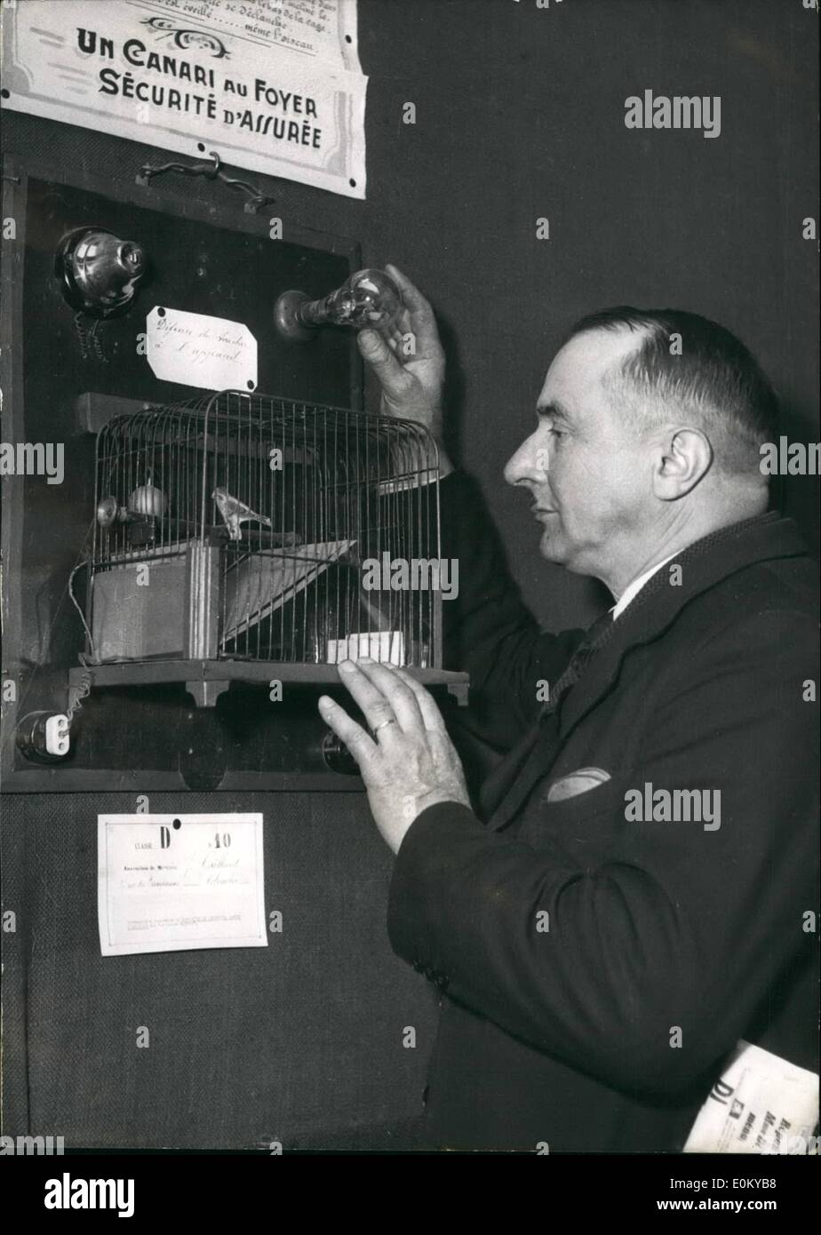 Sep. 09, 1952 - Canary to warn of gas danger: A Paris inventor showing his 'latest: A Canari stays in its cage which is placed near the gas oven. In case, of gas leakage the bird drops dead and makes swing a spring scare which sets a bell in motion and lights a lapp warning of the danger. Stock Photo