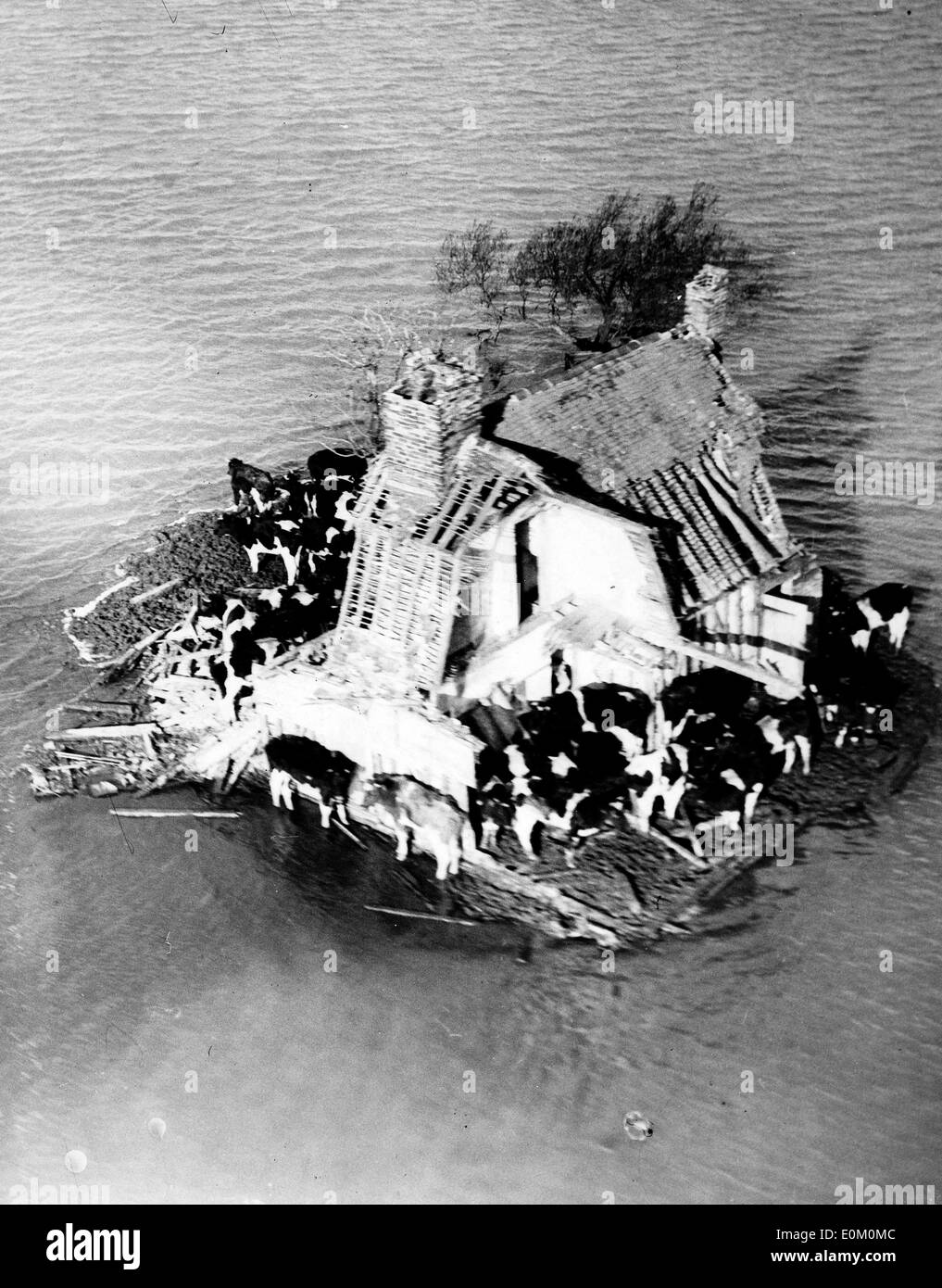 NATURAL DISASTERS: 1953 Floods in the East Coast of England Stock Photo